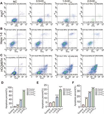 Anti-tumor and anti-metastatic effects of RRx-001 on hepatocellular carcinoma: mechanisms of action and therapeutic potential